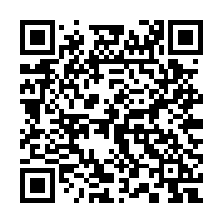 QR code for 305PPI