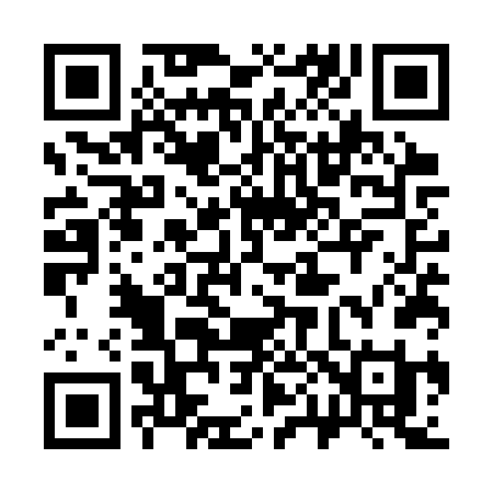 QR code for 305SVI