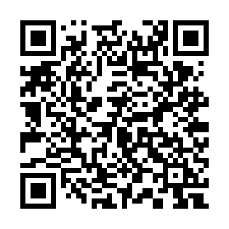 QR code for 307VEI