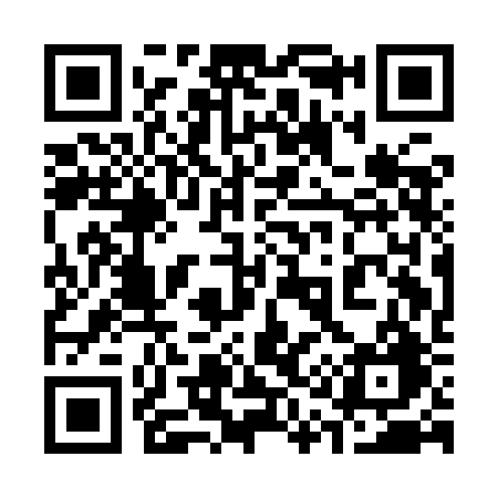 QR code for 311IBG