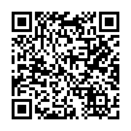 QR code for 311IOV