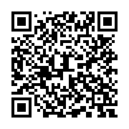 QR code for 311NTW