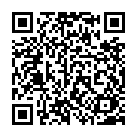 QR code for 311OKO