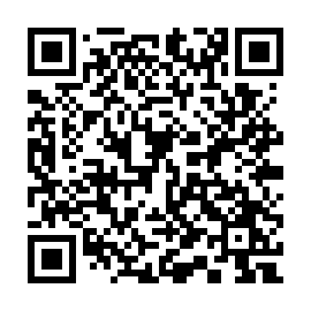 QR code for 311WTO