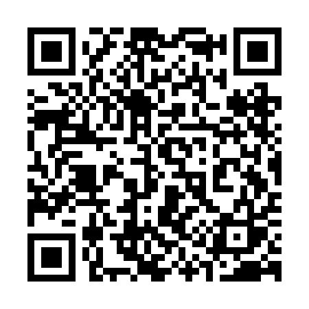 QR code for 313BAS