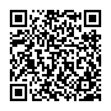 QR code for 313BIV