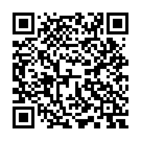 QR code for 313BTI