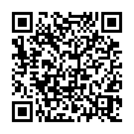 QR code for 313CER