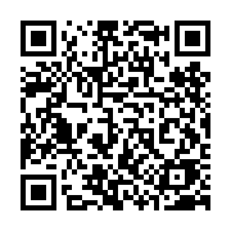 QR code for 313DCE