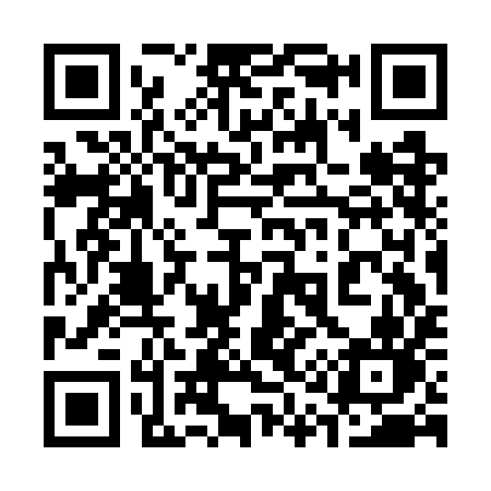 QR code for 313GIN