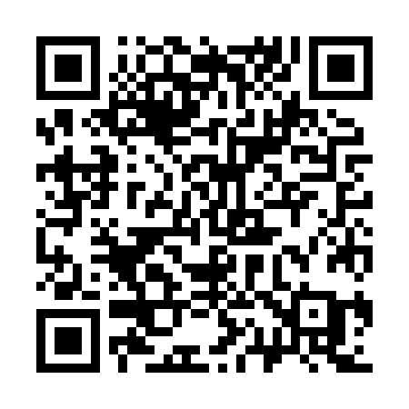 QR code for 313HZA