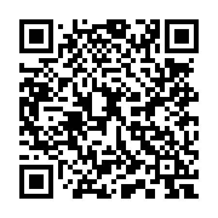 QR code for 313LXI