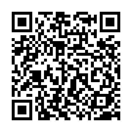 QR code for 313MEI