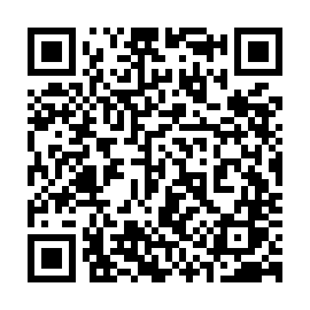 QR code for 313MNS