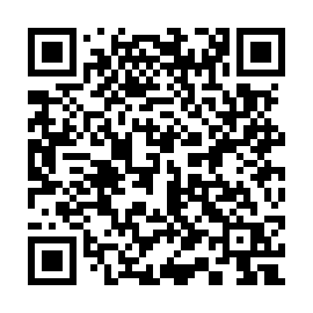 QR code for 313MSR