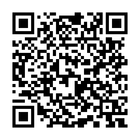 QR code for 313MWQ
