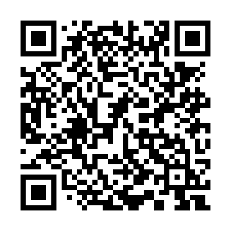 QR code for 313NKJ