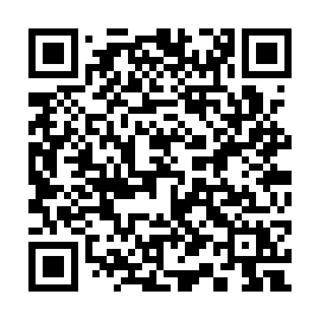 QR code for 313QWX
