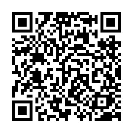 QR code for 313ROK
