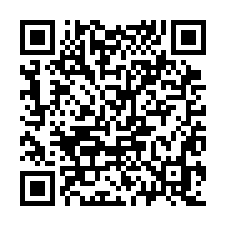 QR code for 313SLO