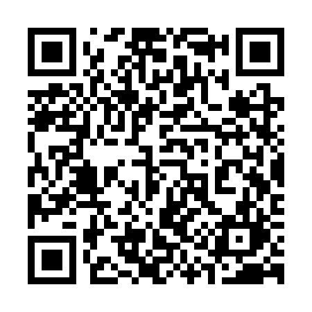 QR code for 313SRL