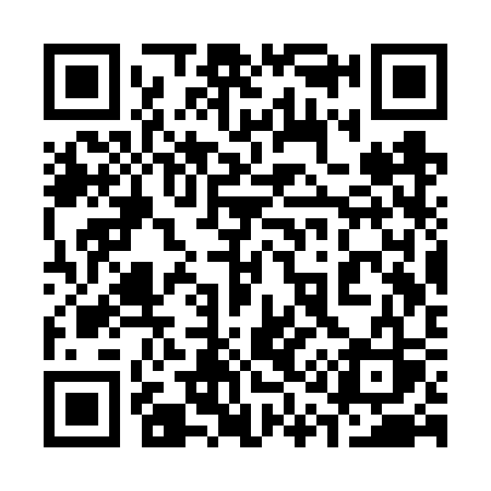 QR code for 313VSS