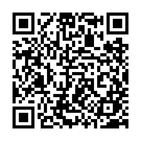QR code for 313WML