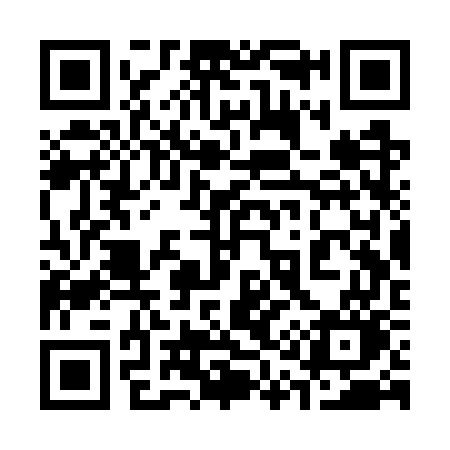 QR code for 313WWO
