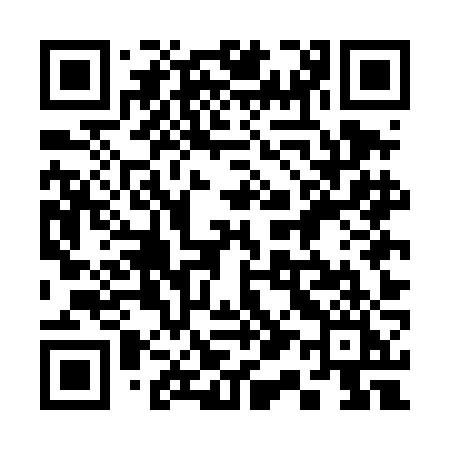 QR code for 315DJI