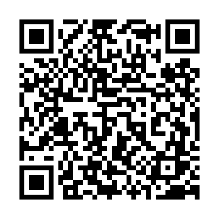 QR code for 315DVS