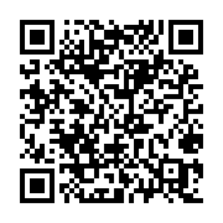 QR code for 317IMA