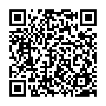 QR code for 317ISG