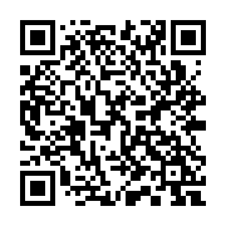 QR code for 319STM
