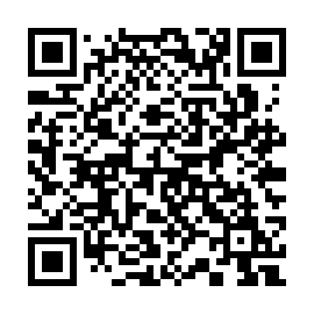 QR code for 325SCM