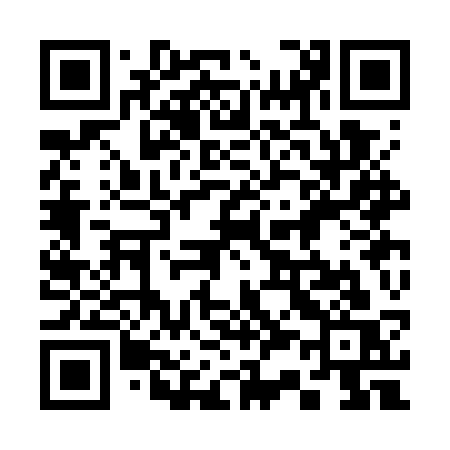 QR code for 333GSS