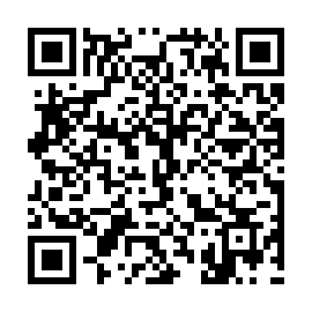 QR code for 333SRS