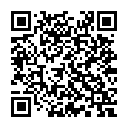 QR code for 333TSW