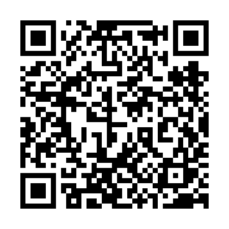 QR code for 333VIS