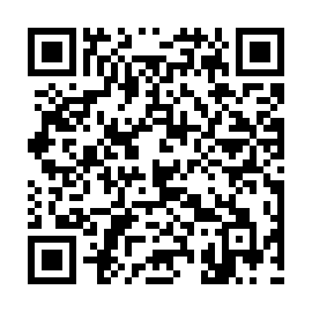 QR code for 333WTA