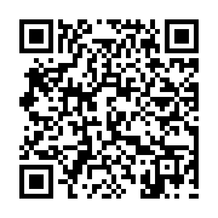 QR code for 333YMS