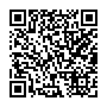 QR code for 333ZNN