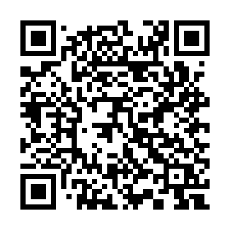 QR code for 335AUR