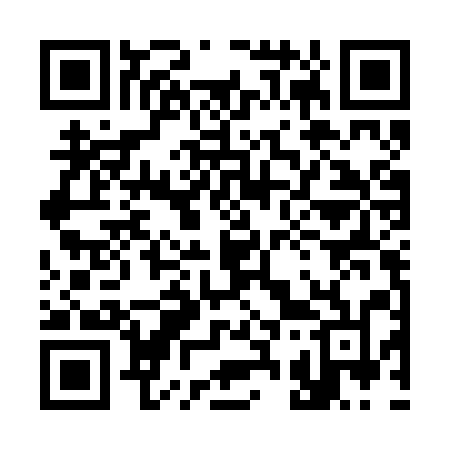 QR code for 335BQN