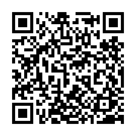 QR code for 335DJS