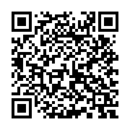 QR code for 335FZS