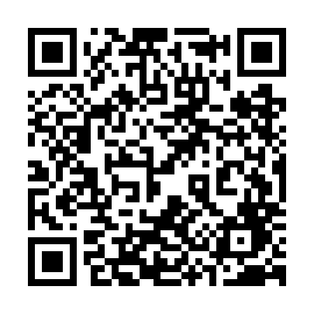 QR code for 335GMF