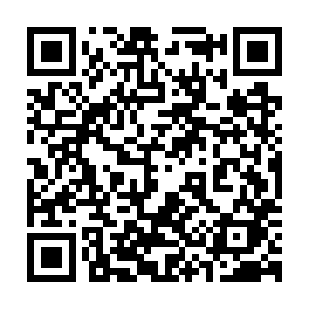 QR code for 335GXK