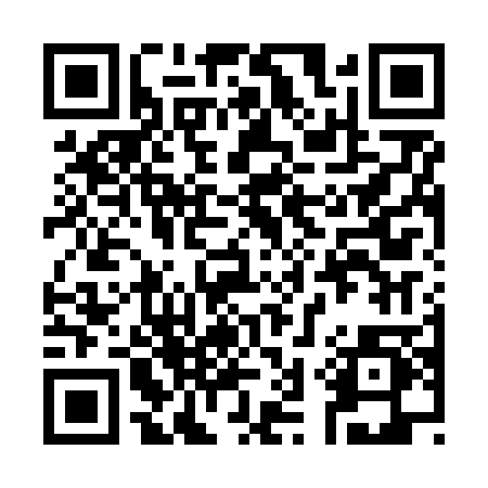 QR code for 335NPP