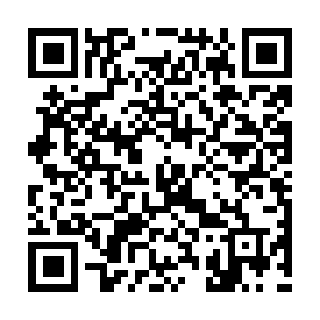 QR code for 335ORT
