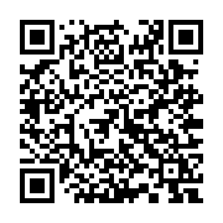 QR code for 335POY